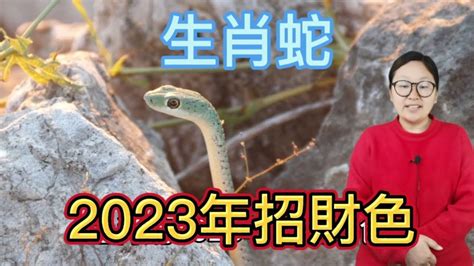 蛇幸運顏色|2024屬蛇幾歲、2024屬蛇運勢、幸運色、財位、禁忌